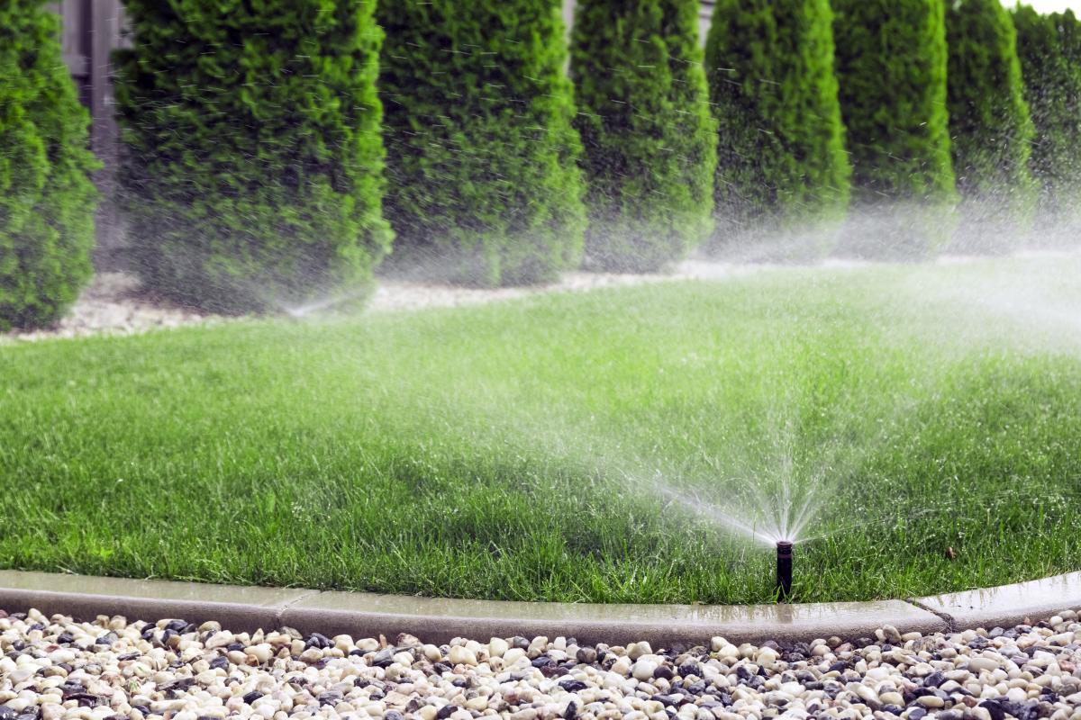 Sprinkler watering a lawn